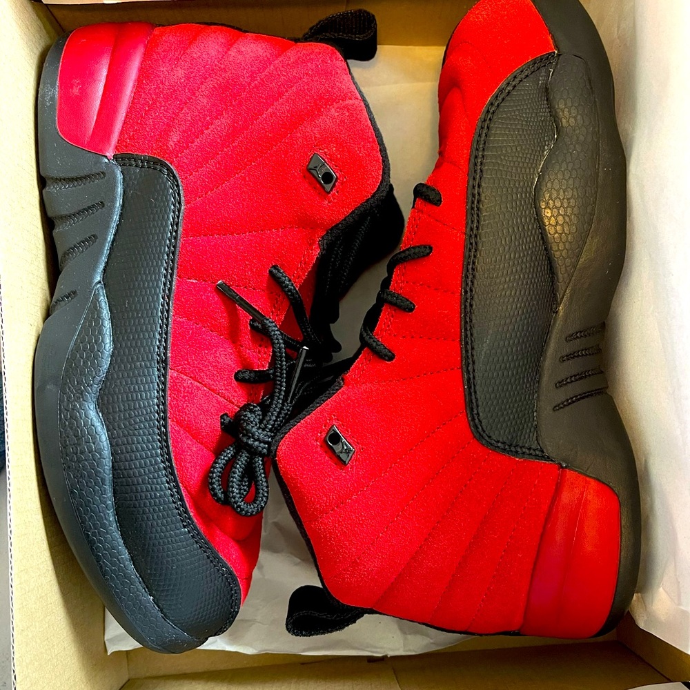 Jordan Retro 12